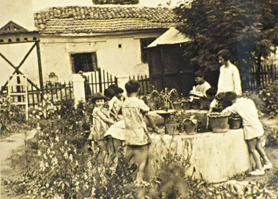 Ο κήπος στο σχολείο του Μίλτου Κουντουρά.